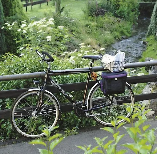 Gaestehaus Knab's Muehlenschenke Casa de hóspedes Sankt Goar